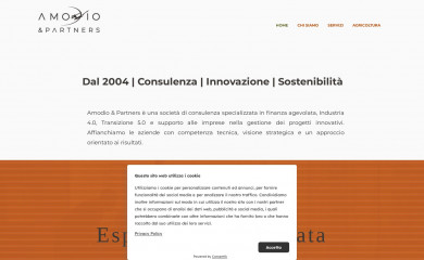 amodioepartners.it screenshot
