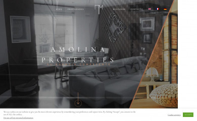 amolinaproperties.com screenshot