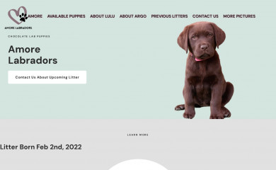 amorelabradorsarizona.com screenshot