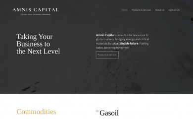 amniscapital.com screenshot