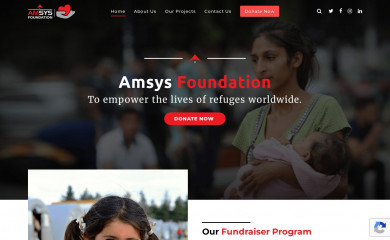 amsysfoundation.org screenshot