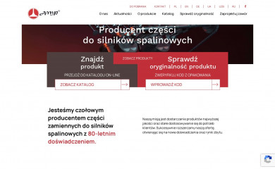 amp.eu screenshot