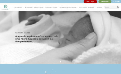 amparos.cl screenshot