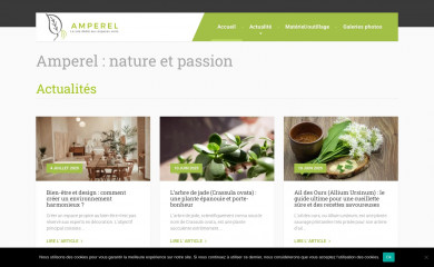 amperel.fr screenshot
