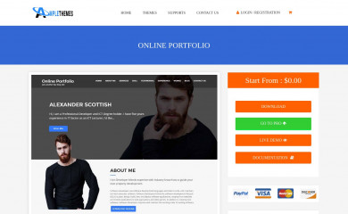 Online Portfolio screenshot
