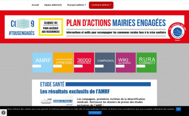 amrf.fr screenshot