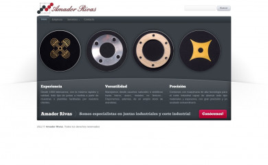 amrivas.com screenshot
