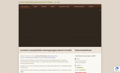 amvet.com.pl screenshot