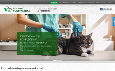 amvet.com.pl screenshot