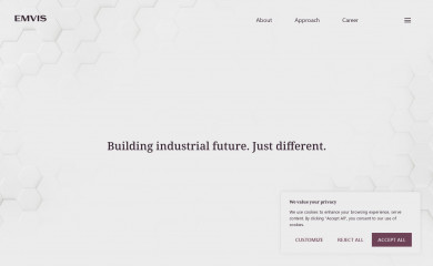 amvispartners.com screenshot
