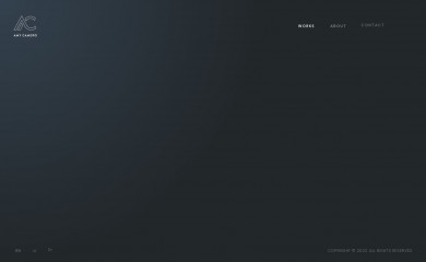 amycamerodesign.com screenshot