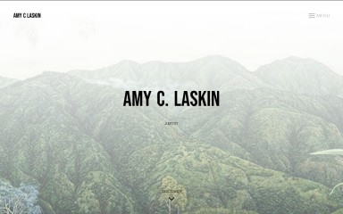 amyclaskin.com screenshot