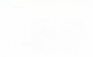 amylively.com screenshot