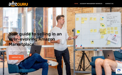 amzguru.com screenshot