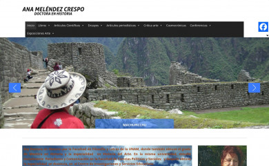 anamelendezcrespo.mx screenshot