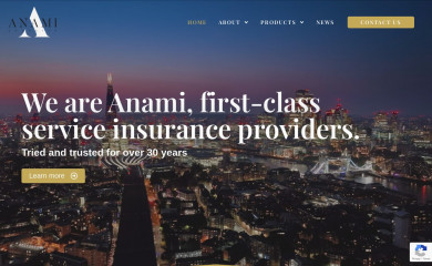 anamiagencies.co.uk screenshot
