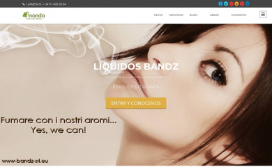 anandaspain.com screenshot