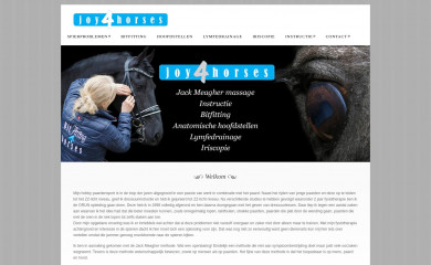 anatomischehoofdstellen.com screenshot