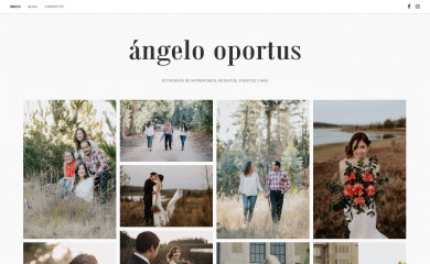 angelooportus.cl screenshot