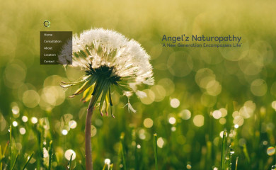 angelznaturopathy.com.au screenshot