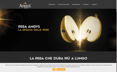 angys.net screenshot