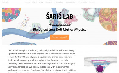 andelasaric.com screenshot