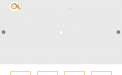 andesconsulting.cl screenshot