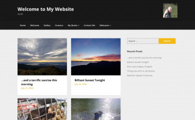 andic.co.nz screenshot