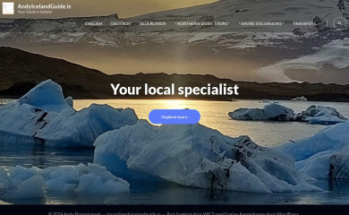 andyicelandguide.is screenshot