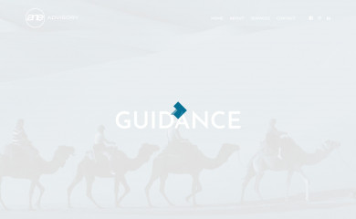 aneadvisory.com.au screenshot