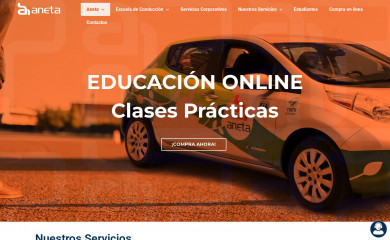 aneta.org.ec screenshot