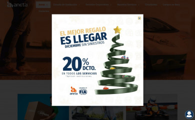 aneta.org.ec screenshot