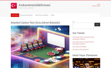 ankaratemizlikfirmasi.web.tr screenshot