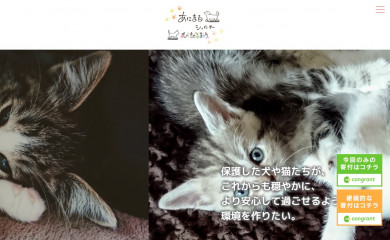 animal-hidamari.com screenshot