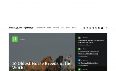 animalofthings.com screenshot
