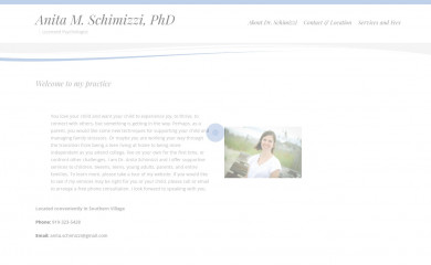 anitaschimizzi.com screenshot