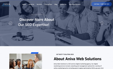 anivawebsolutions.com screenshot
