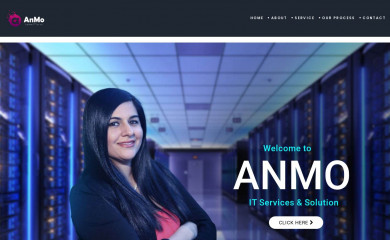 anmollc.com screenshot