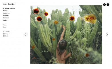 annebeentjes.nl screenshot