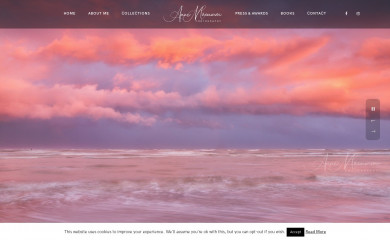 annemaenurm.com screenshot