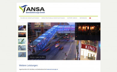 ansagmbh.at screenshot