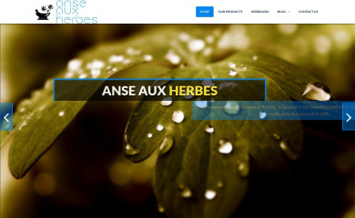 anseauxherbes.ca screenshot