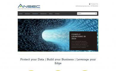 ansecgroup.com screenshot