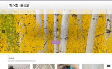 anseeing.com screenshot