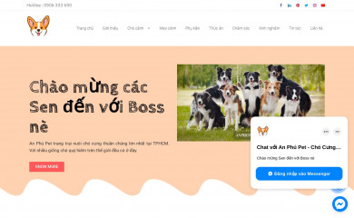 anphupet.com screenshot