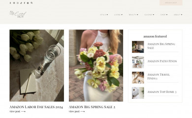 anunblurredlady.com screenshot