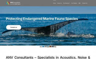 anvconsultants.com.au screenshot