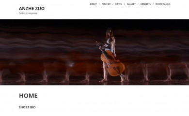 anzhezuo.com screenshot