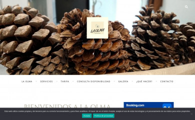 apartamentoslaolma.com screenshot