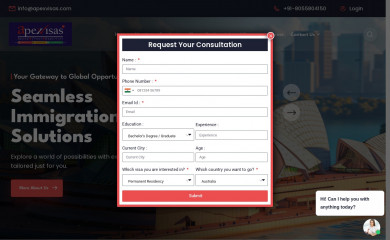apexvisas.com screenshot